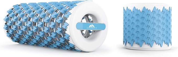 Livepro Foam Roller - Baba Saleh Sports Egypt | بابا صالح للأدوات الرياضية