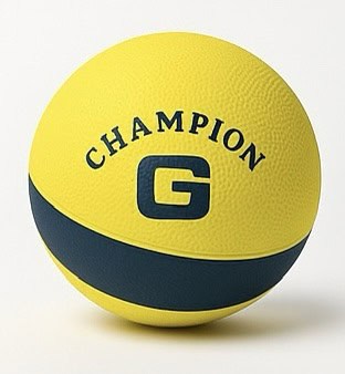 Champion water ball - Baba Saleh Sports Egypt | بابا صالح للأدوات الرياضية