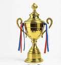 Circle trophy 35 cm - Baba Saleh Sports Egypt | بابا صالح للأدوات الرياضية