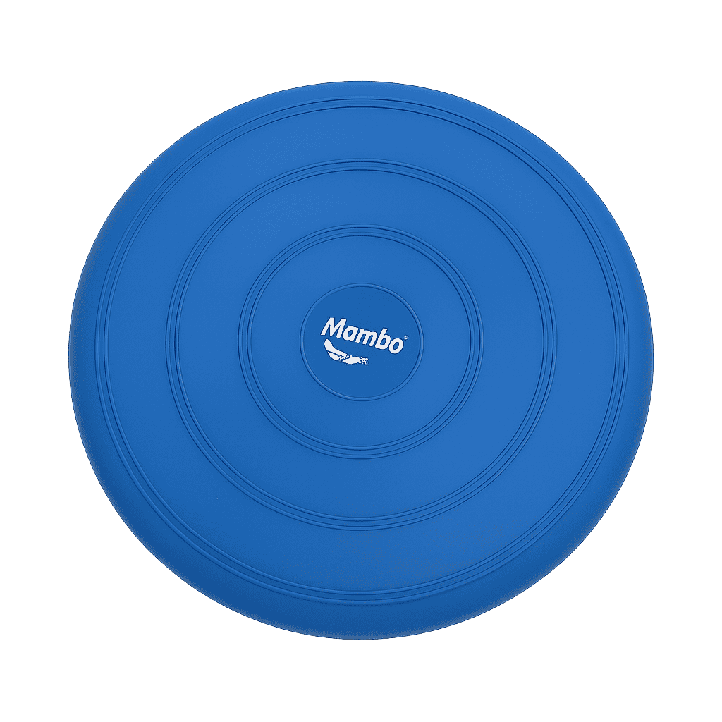 Balance Disc - Baba Saleh Sports Egypt | بابا صالح للأدوات الرياضية