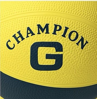 Champion water ball - Baba Saleh Sports Egypt | بابا صالح للأدوات الرياضية