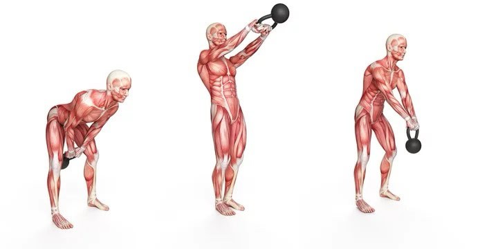 Kettlebell - Baba Saleh Sports Egypt | بابا صالح للأدوات الرياضية