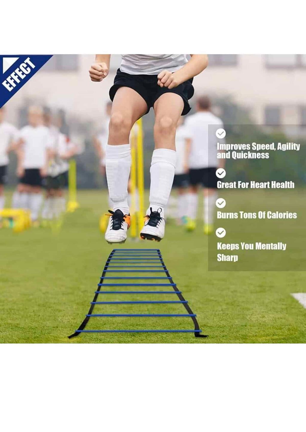 Training Ladder - Baba Saleh Sports Egypt | بابا صالح للأدوات الرياضية