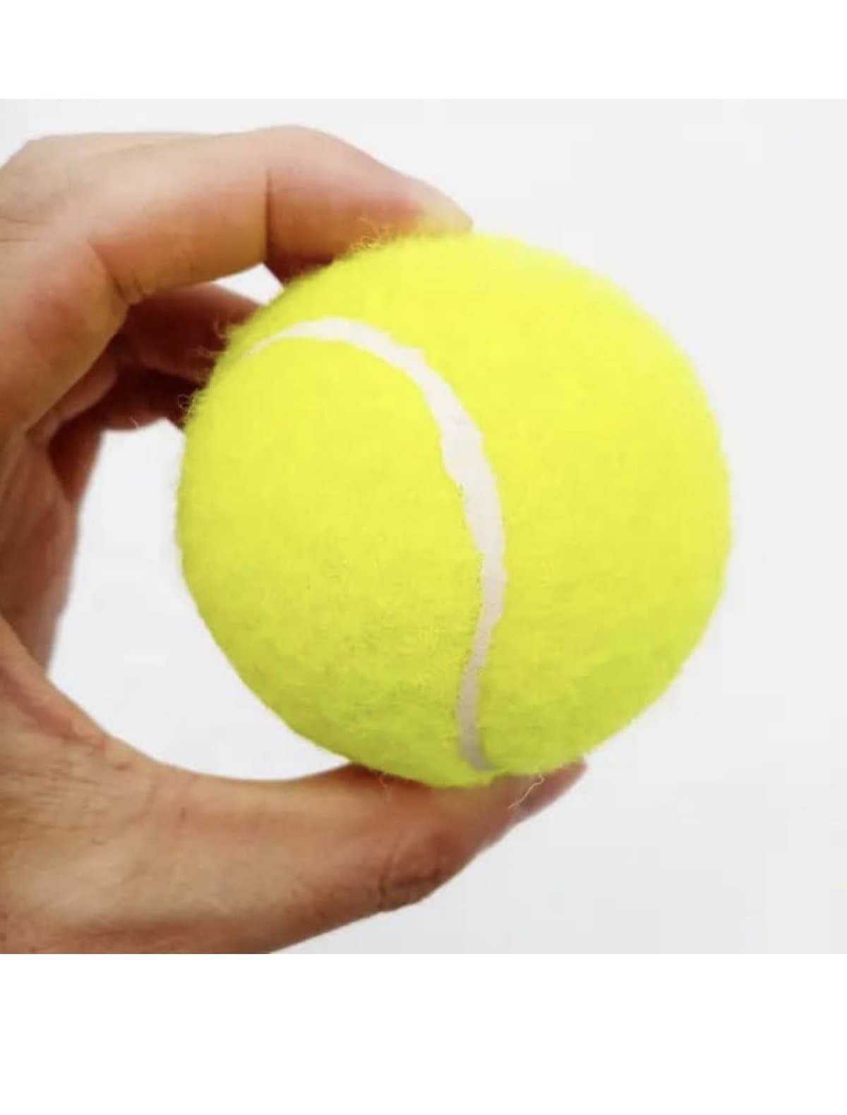 Racket ball - Baba Saleh Sports Egypt | بابا صالح للأدوات الرياضية
