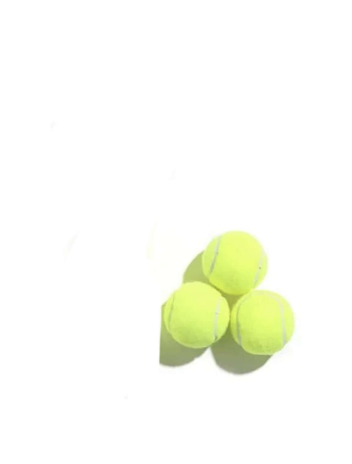 Racket ball - Baba Saleh Sports Egypt | بابا صالح للأدوات الرياضية