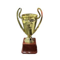 Medium Trophy - Baba Saleh Sports Egypt | بابا صالح للأدوات الرياضية