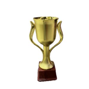 Large Trophy - Baba Saleh Sports Egypt | بابا صالح للأدوات الرياضية
