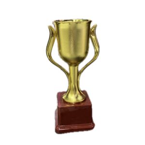 Trophy C 303 - Baba Saleh Sports Egypt | بابا صالح للأدوات الرياضية