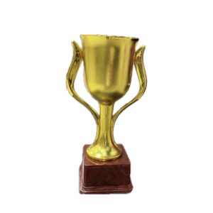Trophy B303 - Baba Saleh Sports Egypt | بابا صالح للأدوات الرياضية