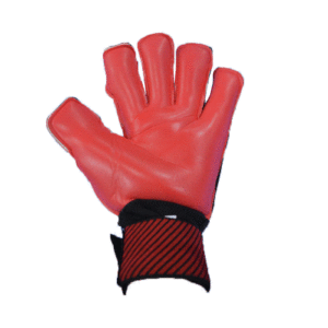 goalkeeper-gloves