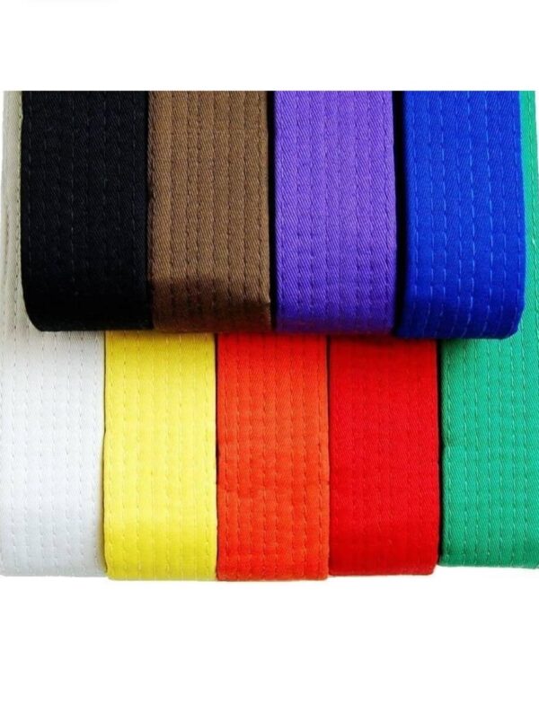 حزام كارتيه الوان#275013-Color karate belt #275013
